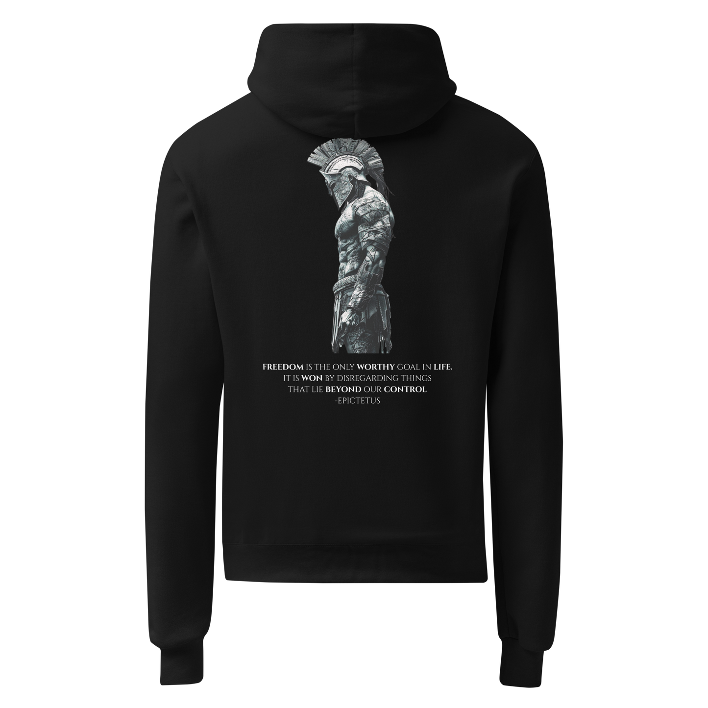 Freedom Through Discipline Champion Hoodie